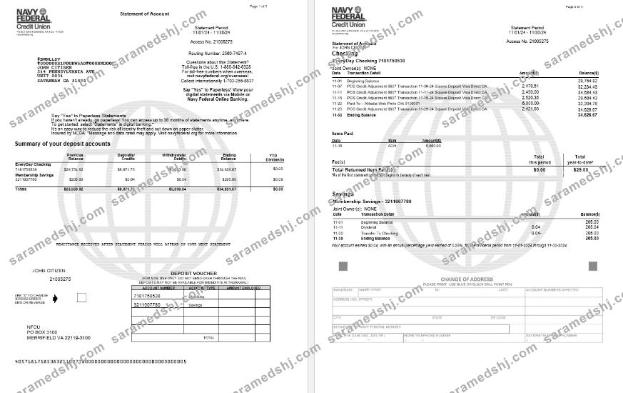 USA Navy Federal bank statement, 3 pages